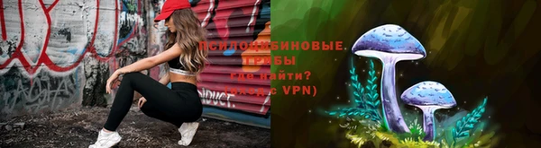 дурь Горнозаводск