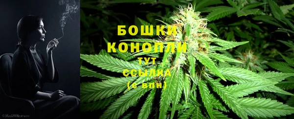 ALPHA-PVP Горняк