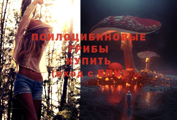 дурь Горнозаводск