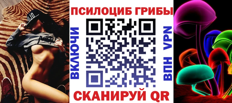 Купить где  Покровск  Псилоцибиновые грибы мицелий 